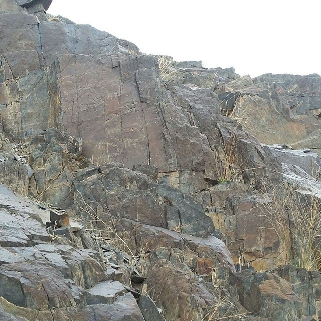نمونه‌ای نقوش صخره‌ای در محوطه ۱۱۵