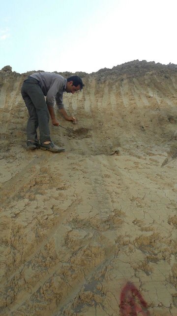  کشف یک لایه باستانی در یک روستای ساسانی