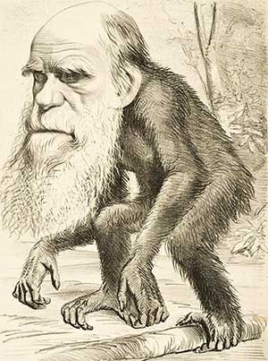 نقدی بر نقد سید حسین نصر بر نظریه تکامل داروین