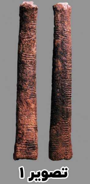 دو منظر از استخوان ایشانگوا که متجاوز از ۸۰۰۰ سال قدمت دارد