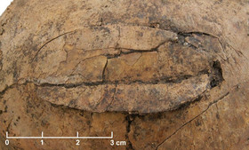 کشف نشانه‌های کشتار  دسته جمعی در 7هزار سال قبل