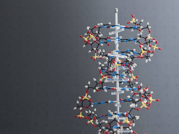 امکان ذخیره اطلاعات در DNA برای یک میلیون سال