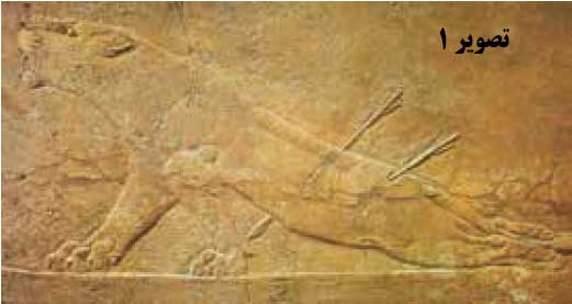 تصویر شیر زخمی در صحنه شکار، حچاری روی سنگ، کاح آشور بانیپال، نینوا، حدود 650 پیش از میلاد، موزه بریتانیا