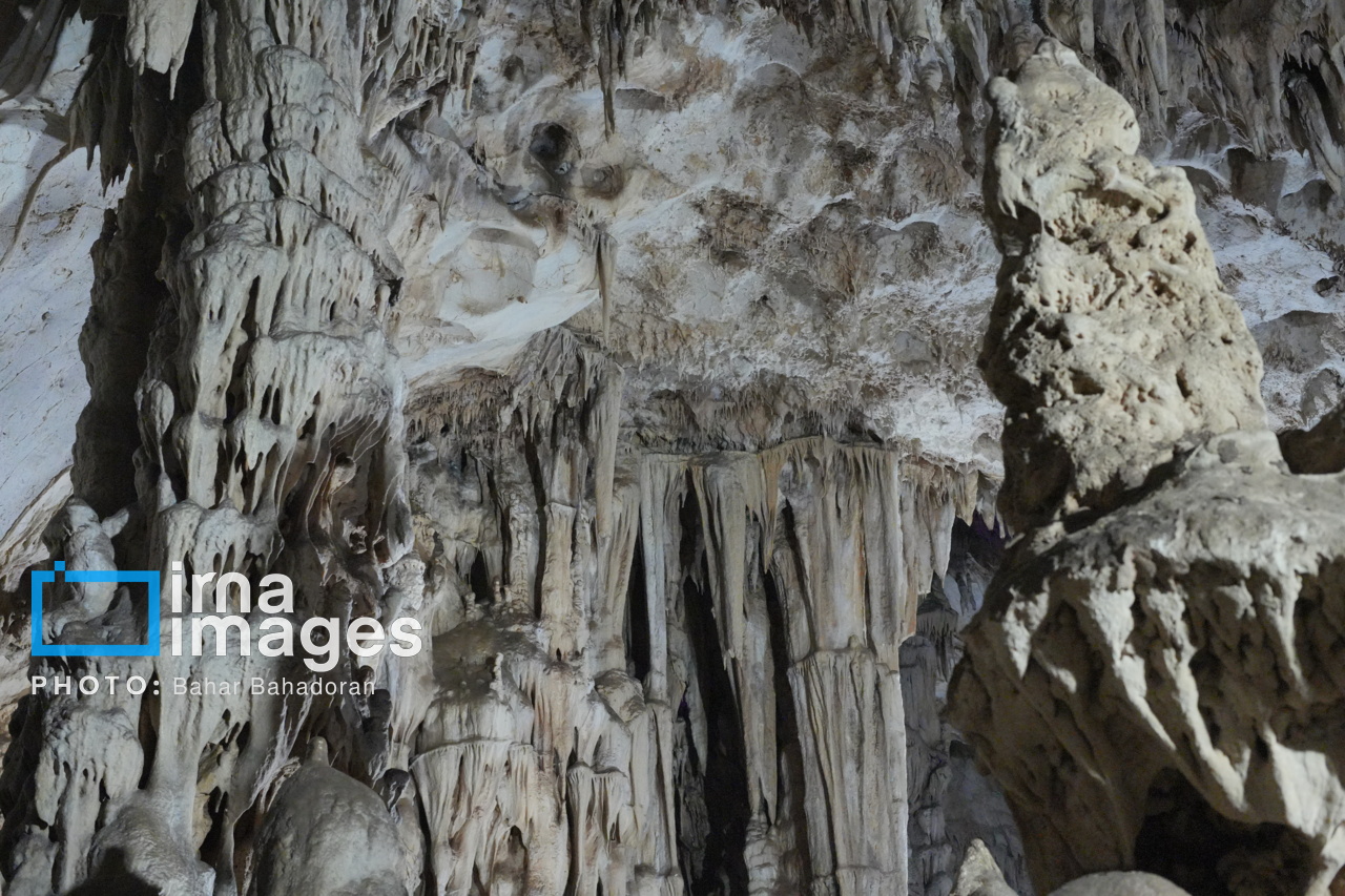 غارها گنجینه های پنهان طبیعت و دارای نقشی بی بدیل در تعادل اکولوژیکی هستند
