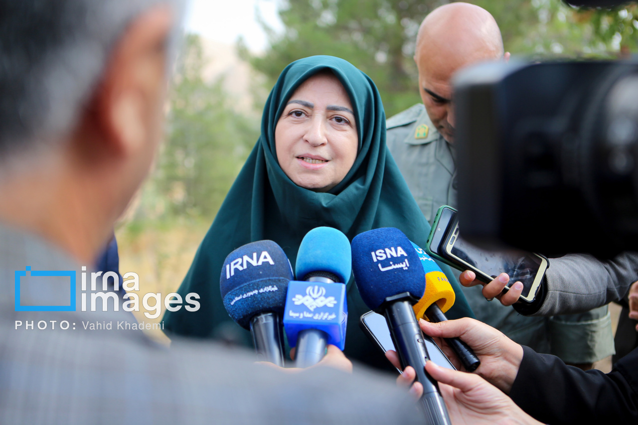انصاری: خسارات زیست محیطی جنگ برای پیگیری حقوقی در سطح بین المللی مستندسازی شد