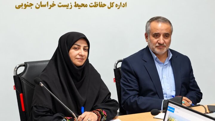 انصاری: حفاظت از زیستگاه های یوز ایرانی اولویت سازمان محیط زیست است