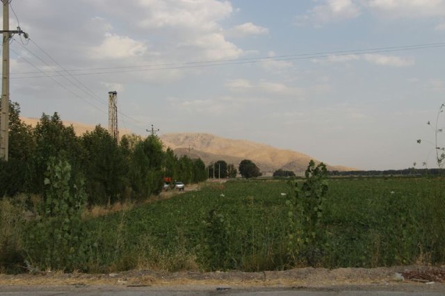 حفر 4 چاه در محوطه تخت جمشید