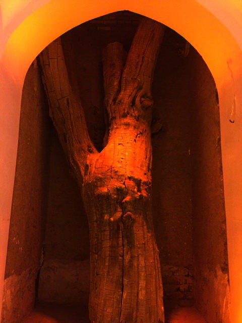 درخت بازمانده از گذشته که در زمان مرمت در داخل عمارت، حفظ شد