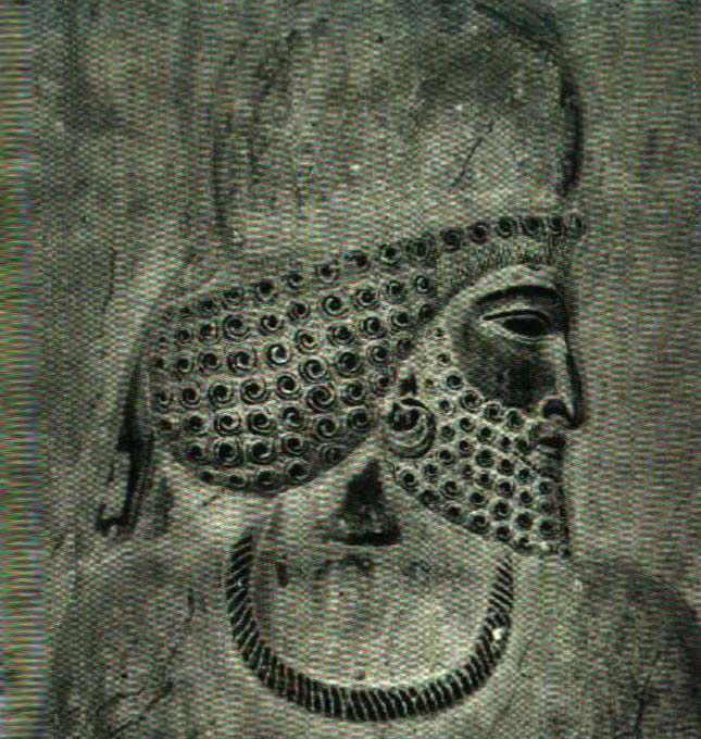 سرباز مادی (تخت جمشید)