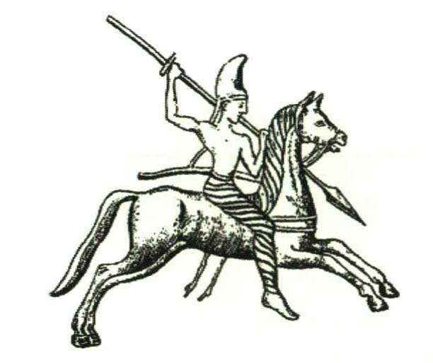 جنگجوی مادی