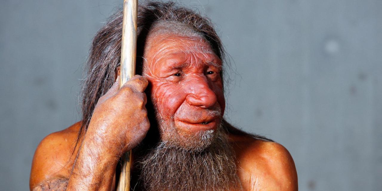 بازگشت نئاندرتال ها به غار ساحلی در طی بیش از ۱۰۰ هزار سال