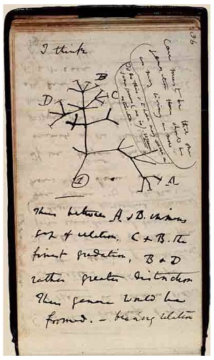 اولین نمونه از کفرهای داروین