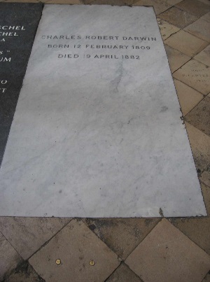 محل دفن داروین