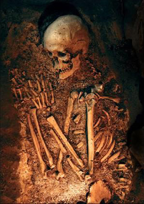 نحوه دﻓﻦ ﻣﺮدﮔﺎن ﺗﻮﺳﻂ ﻧﺌﺎﻧﺪرﺗﺎلﻫﺎ.آﯾﺎ اﯾﻦ ﻣﻨﻄﻘﯽ ﻧﯿﺴﺖ ﮐﻪ ﻗﺒﻞ از ﻣﺮگ،از او ﻣﺮاﻗﺒﺖ ﻣﯽﮐﺮده اﻧﺪ؟ 