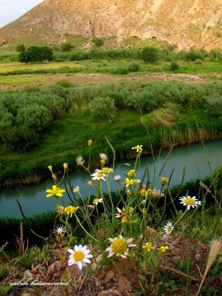 سراب ملوسان نهاوند