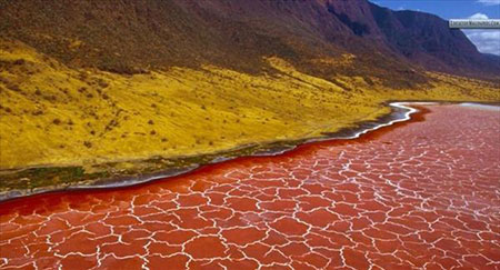 دریاچه‌ی نمک ناترون تانزانیا (شرق آفریقا)