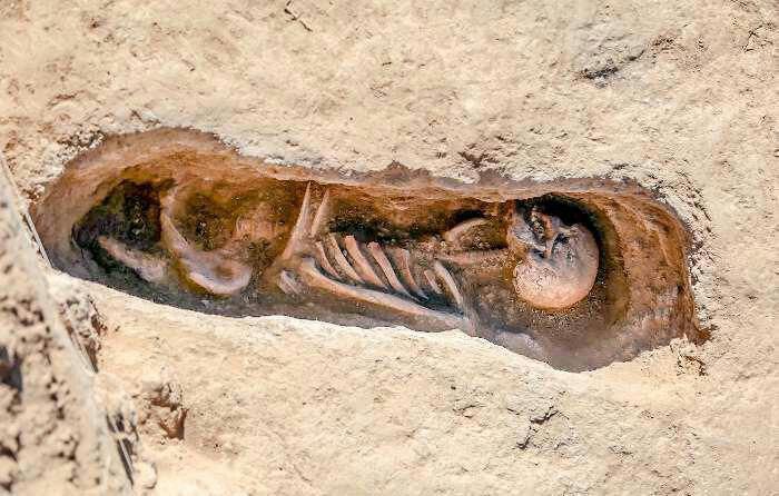 یکی از تدفین های به دست آمده از سایت ریوی 