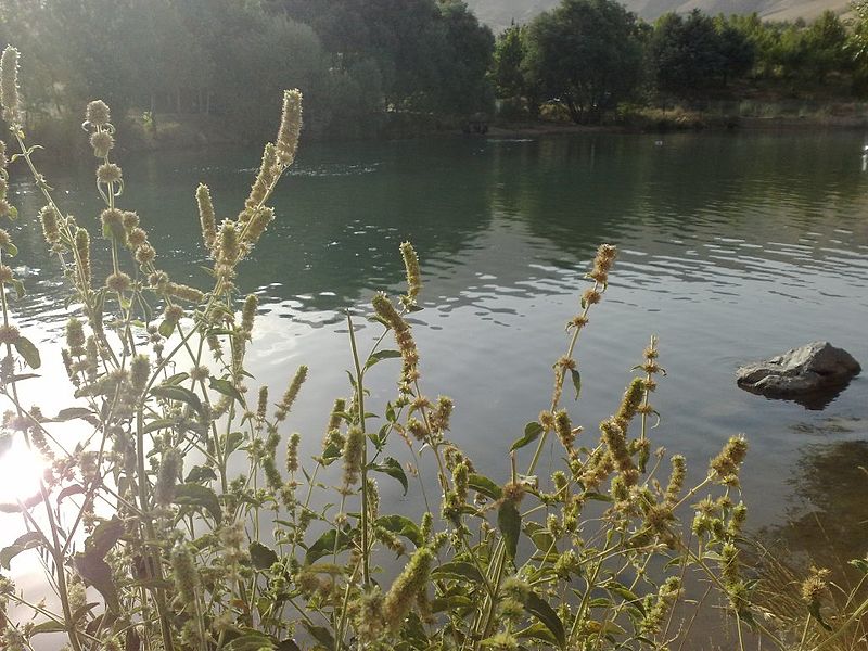 سرآب گاماساب