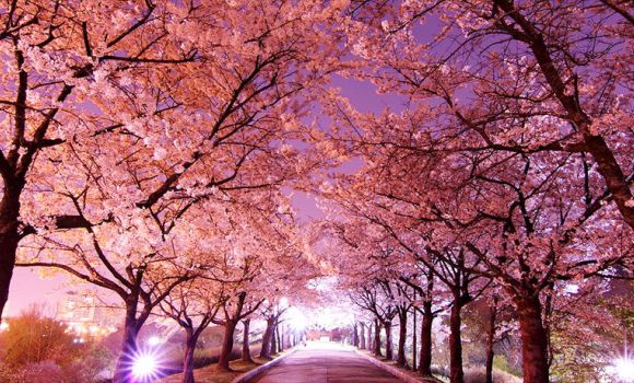 جشن اردیبهشتگان