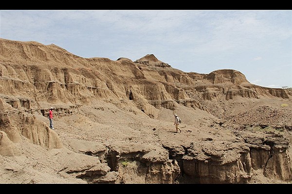تصویری از منطقه لومکوی در شمال کنیا که این کاوش در این مکان انجام شد.
