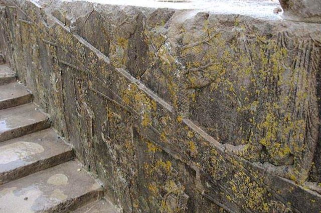 رویش گلسنگ بروی سنگهای پارسه (تخت جمشید) و در معرض تخریب قراردادن بزرگترین و مهمترین محوطه باستانی ایران