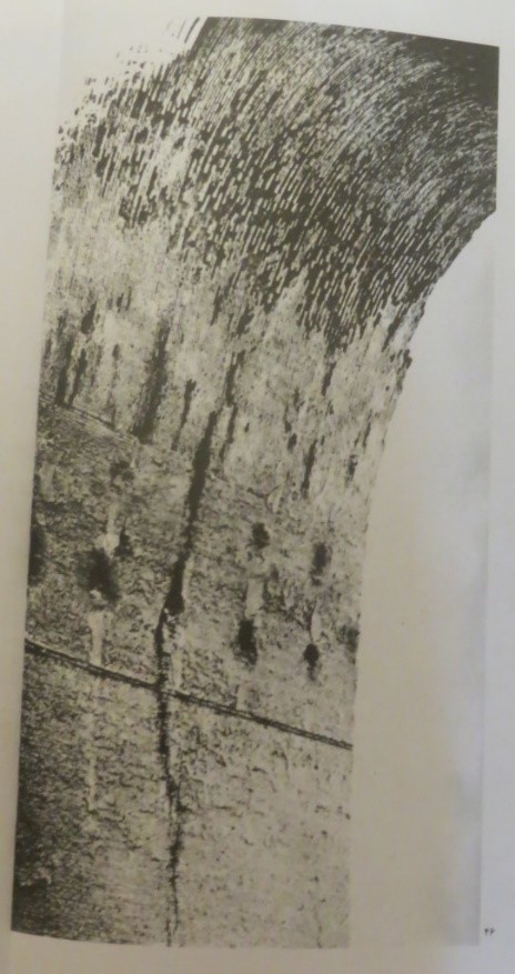 تصویر 7  – بخشی از طاق ایوان (پوپ،1390:46)