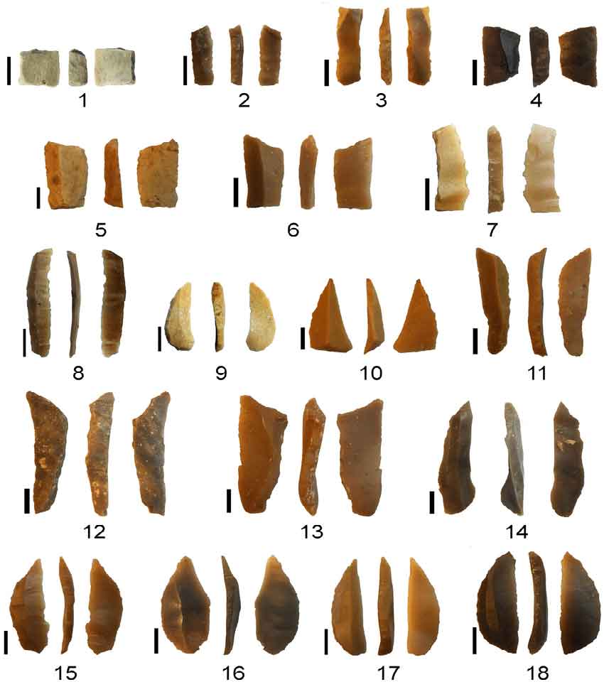 ریز ابزارهای سنگی بدست آمده از سواحل شرقی مدیترانه متعلق به دوران پارینه سنگی پایانی