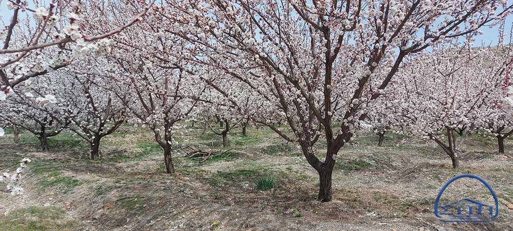 مناظر بهاری اطراف دودکش جن ماهنشان زنجان