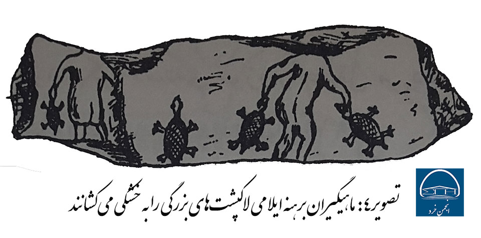 ماهیگیران برهنه ایلامی لاکپشتهای بزرگی را به خشکی می کشند