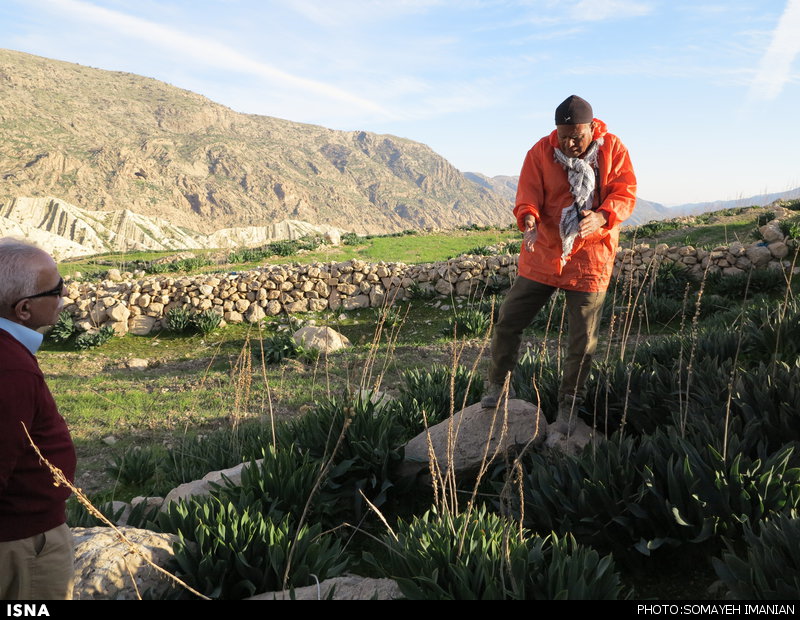 «دره شمی» در ایذه