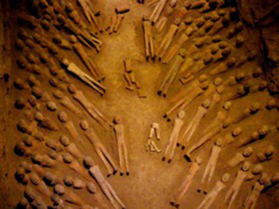 کشف قدیمی‌ترین برگ‌ چای در قبر امپراطور چینی