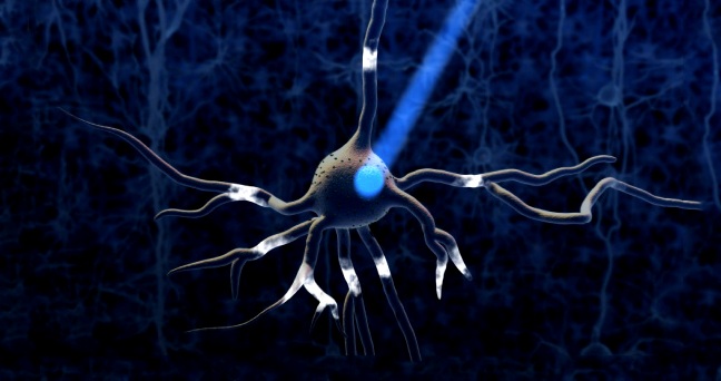 پاک کردن حافظه با نور