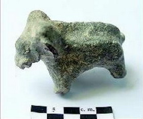 فیل 2500 ساله آفریقایی در هند 