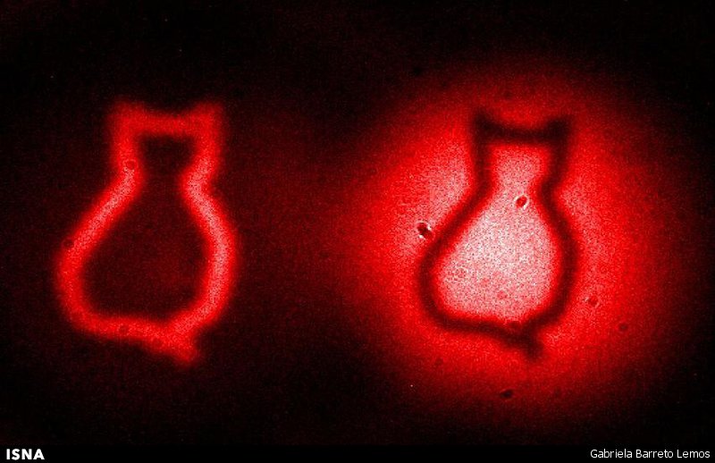 «گربه شرودینگر» مشاهده شد! 