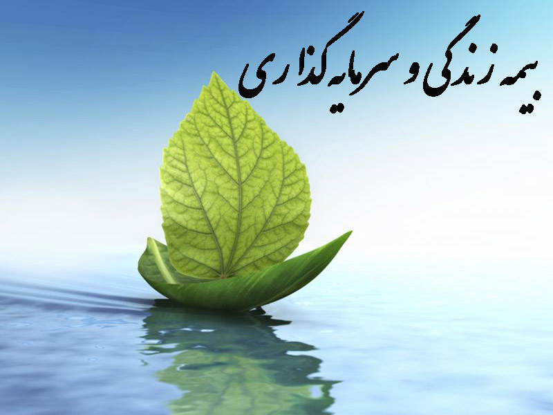 مقایسه «بیمه زندگی و سرمایه‌گذاری» با سرمایه‌گذاری در ملک، طلا و دلار