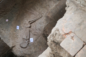 بانوی هفت هزار ساله از خیابان مولوی می‌خواهد برود! 