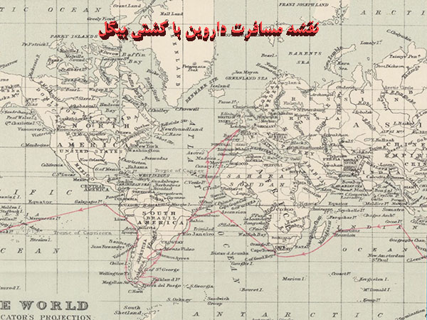 داروین (بخش سوم: آمریکای جنوبی)