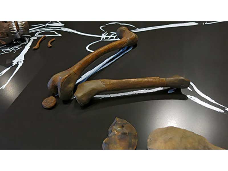 نگاهی به تاریخ علم؛ فصل دوم: از سنگ تا فلز (ب – دوران پارینه‌سنگی میانی)