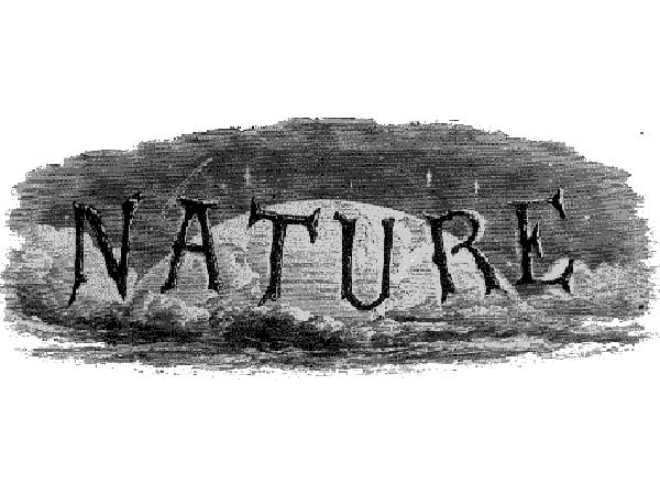 درس‌هایی از «نيچر»