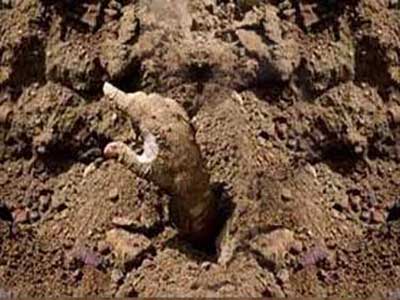 ماجرای عجیب «زامبی‌ها» در ایران/ شهر افسانه‌ای «هیدلو» کجای کشور است؟