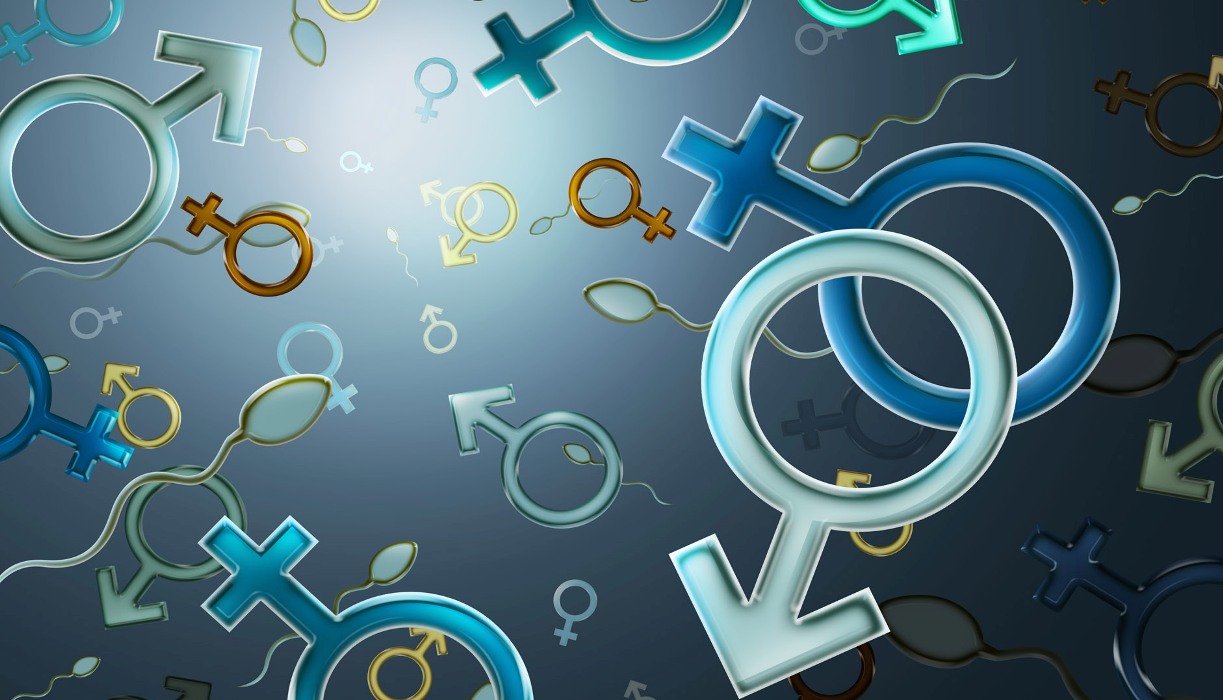 جنس نر برای طبیعت مهمتر است یا ماده؟