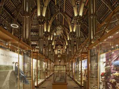 حلقه مستدام طبیعت و خط مستمر تاریخ