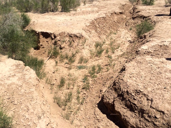 از اراضي دشت ورامين خطر بيخ گوش پايتخت