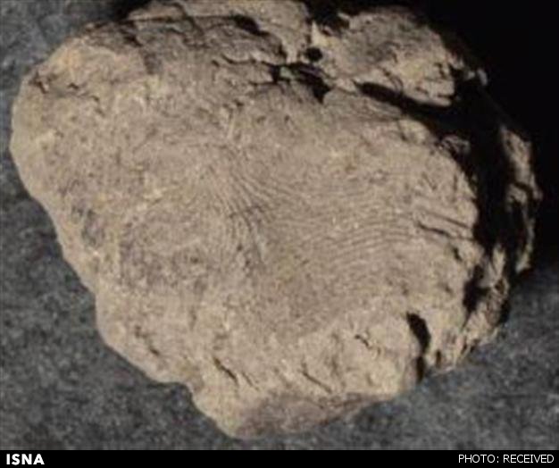 کشف اثر انگشت‌های باستانی در ترکیه