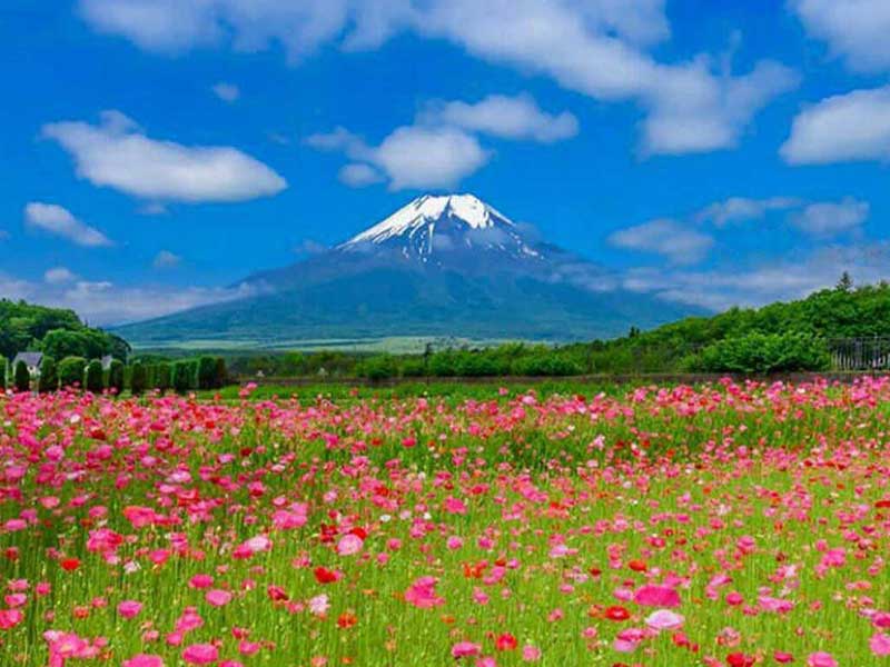 اطلس میراث طبیعی کشور تهیه می شود