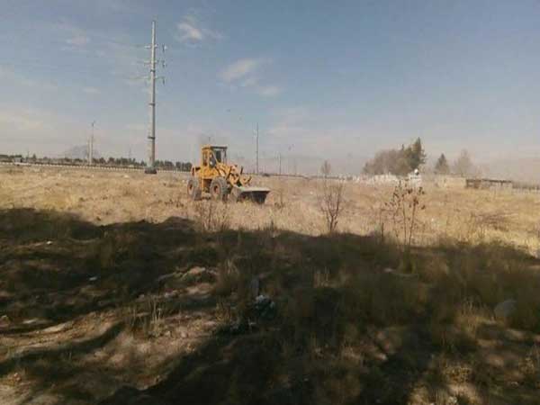 تخریب درختکاری غیرمجاز در حریم تخت جمشید