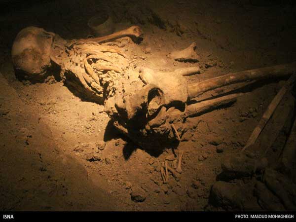 تبارشناسی ژنتیکی ایرانیان باستان