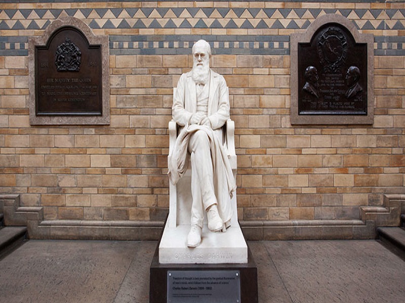 داروین (بخش هفتم: منشا انواع)