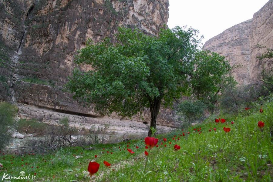 تنگه هایقر فیروز آباد؛ فارس