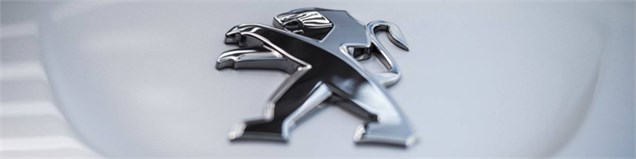 مدیر عامل پژو: ایران فرصتی واقعی برای پژو است 